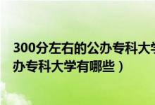 300分左右的公辦專科大學(xué)全國(guó)（2022高考300分左右的公辦?？拼髮W(xué)有哪些）