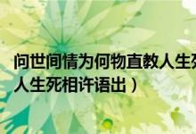 問(wèn)世間情為何物直教人生死相許圖片（問(wèn)世間情為何物 直教人生死相許語(yǔ)出）