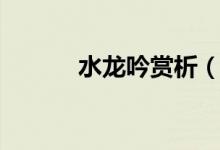 水龍吟賞析（辛棄疾古詩(shī)鑒賞）