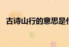 古詩(shī)山行的意思是什么（古詩(shī)山行的意思）