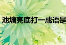 池塘亮底打一成語(yǔ)是什么（池塘亮底打一字）