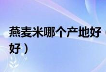 燕麥米哪個產(chǎn)地好（什么地方出產(chǎn)的燕麥米最好）