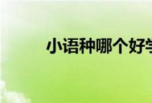 小語種哪個好學（學哪個比較好）
