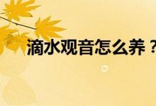 滴水觀音怎么養(yǎng)？用什么土養(yǎng)滴水觀音