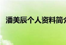 潘美辰個(gè)人資料簡(jiǎn)介（關(guān)于潘美辰的介紹）