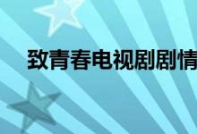 致青春電視劇劇情（致青春電視劇簡(jiǎn)介）