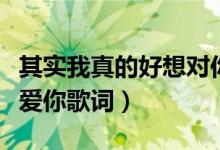 其實(shí)我真的好想對(duì)你說(shuō)是什么歌（死心塌地去愛你歌詞）