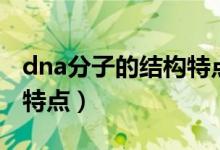 dna分子的結(jié)構(gòu)特點(diǎn)及功能（dna分子的結(jié)構(gòu)特點(diǎn)）