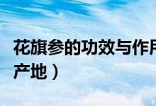 花旗參的功效與作用及食用方法（花旗參的主產地）