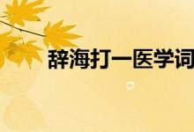 辭海打一醫(yī)學詞語（辭海打一成語）