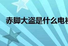 赤腳大盜是什么電視劇（改編自哪部小說）