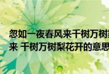 忽如一夜春風(fēng)來千樹萬樹梨花開表達了什么（忽如一夜春風(fēng)來 千樹萬樹梨花開的意思）