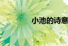 小池的詩(shī)意(小池的詩(shī)意)