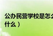 公辦民營(yíng)學(xué)校是怎么回事（公辦民營(yíng)學(xué)校是指什么）