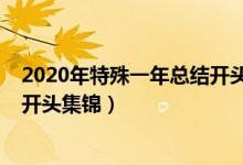 2020年特殊一年總結(jié)開頭簡(jiǎn)短精辟（2020年特殊一年總結(jié)開頭集錦）