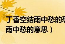 丁香空結雨中愁的愁字是什么意思（丁香空結雨中愁的意思）