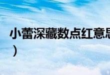 小蕾深藏數(shù)點(diǎn)紅意思是什么（小蕾深藏數(shù)點(diǎn)紅）