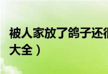 被人家放了鴿子還很高興的是誰(shuí)(腦筋急轉(zhuǎn)彎大全)