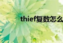 thief復數(shù)怎么理解（thief復數(shù)）