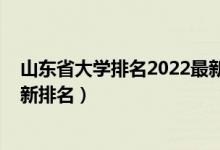 山東省大學排名2022最新排名榜（山東省大學排名2022最新排名）