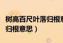 樹(shù)高百尺葉落歸根意思二年級(jí)（樹(shù)高百尺葉落歸根意思）