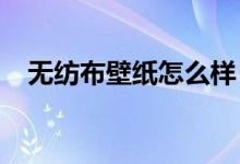 無紡布壁紙怎么樣？如何選擇無紡布壁紙