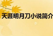 天涯明月刀小說簡(jiǎn)介（天涯明月刀小說介紹）