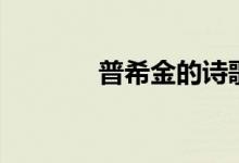 普希金的詩歌（普希金簡介）