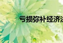 虧損彌補經濟法例題（虧損彌補）