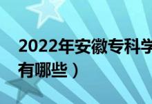 2022年安徽?？茖W(xué)校排名（最好的大專院校有哪些）