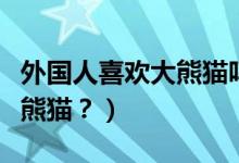 外國人喜歡大熊貓嗎（外國人到底有多喜歡大熊貓？）