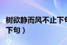 樹(shù)欲靜而風(fēng)不止下句是什么（樹(shù)欲靜而風(fēng)不止下句）