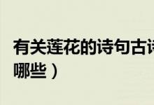 有關(guān)蓮花的詩(shī)句古詩(shī)（有關(guān)蓮花的詩(shī)句古詩(shī)有哪些）
