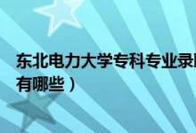 東北電力大學?？茖I(yè)錄取分數(shù)線（東北電力大學?？茖I(yè)有哪些）