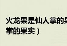 火龍果是仙人掌的果實嗎（火龍果是不是仙人掌的果實）
