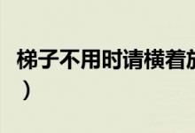梯子不用時請橫著放是什么哲理（范文有哪些）