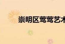 崇明區(qū)鶯鶯藝術幼兒園的地址在哪