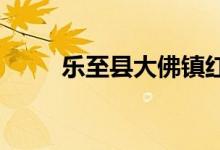 樂(lè)至縣大佛鎮(zhèn)紅鞍小學(xué)的地址在哪