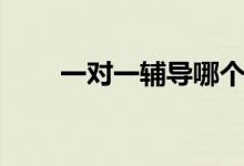 一對一輔導(dǎo)哪個(gè)機(jī)構(gòu)好（怎么選擇）