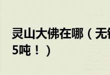 靈山大佛在哪（無錫靈山大佛造價26億 重725噸?。?class=