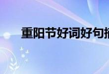 重陽(yáng)節(jié)好詞好句摘抄（祝福語(yǔ)八個(gè)字）