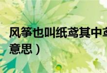 風(fēng)箏也叫紙鳶其中鳶是指是什么（鳶是指什么意思）