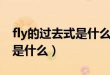fly的過(guò)去式是什么用法是什么（fly的過(guò)去式是什么）