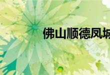佛山順德鳳城中學的地址在哪