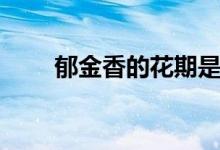 郁金香的花期是多久（原產地在哪）