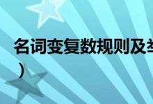 名詞變復數(shù)規(guī)則及舉例（名詞變復數(shù)規(guī)則舉例）