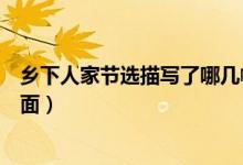 鄉(xiāng)下人家節(jié)選描寫(xiě)了哪幾幅畫(huà)面（鄉(xiāng)下人家描寫(xiě)了哪幾幅畫(huà)面）