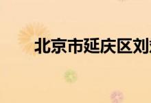 北京市延慶區(qū)劉斌堡中學的地址在哪