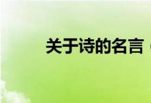 關于詩的名言（關于詩歌的名言）