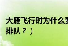 大雁飛行時(shí)為什么要排隊(duì)（大雁飛行時(shí)為啥要排隊(duì)？）